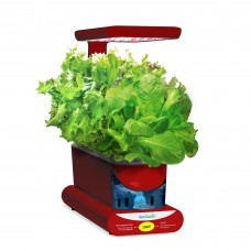Miracle-Gro AeroGarden Sprout LED, Red with Gourmet Herbs   565846543